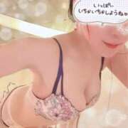 ヒメ日記 2025/05/02 14:20 投稿 ゆずりは SUZUME