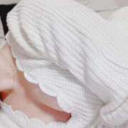 ヒメ日記 2025/05/09 04:00 投稿 ゆずりは SUZUME