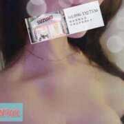 ヒメ日記 2025/05/12 00:00 投稿 ゆずりは SUZUME