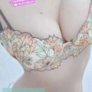 ヒメ日記 2025/05/15 16:30 投稿 ゆずりは SUZUME