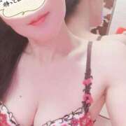 ヒメ日記 2025/06/16 12:50 投稿 ゆずりは SUZUME