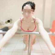 ヒメ日記 2025/06/17 21:20 投稿 ゆずりは SUZUME