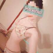 ヒメ日記 2025/06/20 11:30 投稿 ゆずりは SUZUME