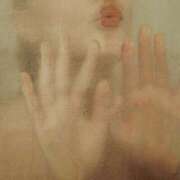 ヒメ日記 2025/06/28 13:18 投稿 ゆずりは SUZUME