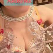 ヒメ日記 2025/06/30 18:49 投稿 ゆずりは SUZUME