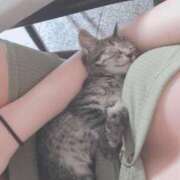 ヒメ日記 2025/07/03 12:49 投稿 ゆずりは SUZUME