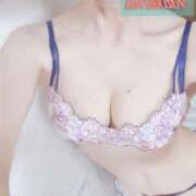 ヒメ日記 2025/07/03 13:29 投稿 ゆずりは SUZUME