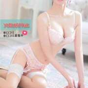 ヒメ日記 2025/07/04 11:29 投稿 ゆずりは SUZUME