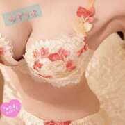 ヒメ日記 2025/07/07 18:38 投稿 ゆずりは SUZUME