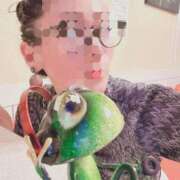 ヒメ日記 2025/07/10 02:19 投稿 ゆずりは SUZUME