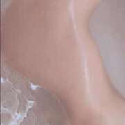 ヒメ日記 2025/07/11 14:49 投稿 ゆずりは SUZUME