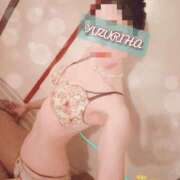 ヒメ日記 2025/07/11 23:21 投稿 ゆずりは SUZUME