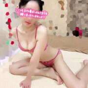 ヒメ日記 2025/07/14 12:29 投稿 ゆずりは SUZUME