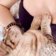 ヒメ日記 2025/07/19 11:09 投稿 ゆずりは SUZUME