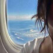 ヒメ日記 2025/07/22 11:19 投稿 ゆずりは SUZUME