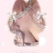 ヒメ日記 2025/08/01 17:19 投稿 ゆずりは SUZUME