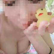 ヒメ日記 2025/08/03 02:59 投稿 ゆずりは SUZUME