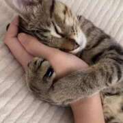 ヒメ日記 2025/08/16 02:39 投稿 ゆずりは SUZUME