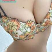 ヒメ日記 2025/08/24 12:31 投稿 ゆずりは SUZUME