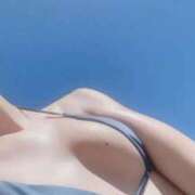 ヒメ日記 2025/08/27 13:29 投稿 ゆずりは SUZUME