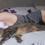 ヒメ日記 2025/09/03 02:29 投稿 ゆずりは SUZUME