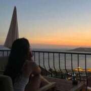 ヒメ日記 2025/09/23 21:36 投稿 ゆずりは SUZUME