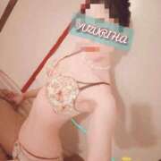 ヒメ日記 2025/09/28 22:29 投稿 ゆずりは SUZUME