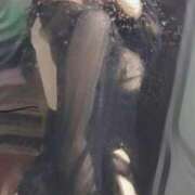 ヒメ日記 2025/09/29 02:19 投稿 ゆずりは SUZUME