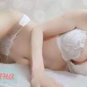 ヒメ日記 2025/10/01 16:19 投稿 ゆずりは SUZUME