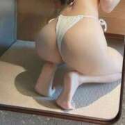 ヒメ日記 2025/10/15 11:29 投稿 ゆずりは SUZUME