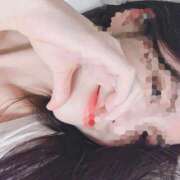 ヒメ日記 2025/10/15 15:29 投稿 ゆずりは SUZUME