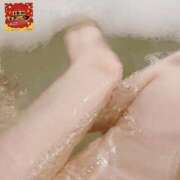 ヒメ日記 2025/10/16 21:06 投稿 ゆずりは SUZUME