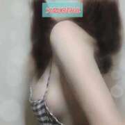 ヒメ日記 2025/10/19 11:22 投稿 ゆずりは SUZUME