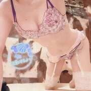 ヒメ日記 2025/10/20 16:49 投稿 ゆずりは SUZUME