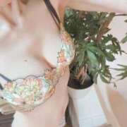 ヒメ日記 2025/10/21 16:19 投稿 ゆずりは SUZUME