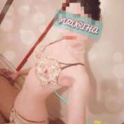 ヒメ日記 2025/10/25 23:19 投稿 ゆずりは SUZUME