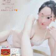 ヒメ日記 2025/11/01 11:47 投稿 ゆずりは SUZUME