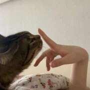 ヒメ日記 2025/11/12 02:09 投稿 ゆずりは SUZUME