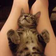 ヒメ日記 2025/11/13 02:29 投稿 ゆずりは SUZUME