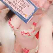 ヒメ日記 2025/11/15 13:49 投稿 ゆずりは SUZUME