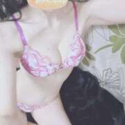 ヒメ日記 2025/11/16 00:09 投稿 ゆずりは SUZUME