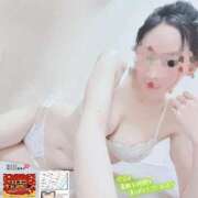 ヒメ日記 2025/11/16 18:59 投稿 ゆずりは SUZUME