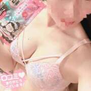 ヒメ日記 2025/11/21 18:29 投稿 ゆずりは SUZUME