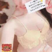 ヒメ日記 2025/11/23 09:49 投稿 ゆずりは SUZUME