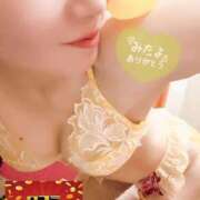 ヒメ日記 2025/11/25 13:29 投稿 ゆずりは SUZUME