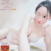 ヒメ日記 2025/11/26 14:19 投稿 ゆずりは SUZUME