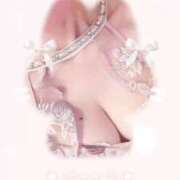 ヒメ日記 2025/12/02 11:59 投稿 ゆずりは SUZUME