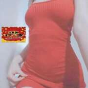 ヒメ日記 2025/12/06 15:49 投稿 ゆずりは SUZUME