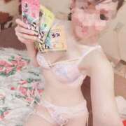 ヒメ日記 2025/12/16 16:19 投稿 ゆずりは SUZUME