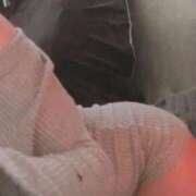 ヒメ日記 2025/12/17 02:29 投稿 ゆずりは SUZUME